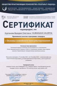 Сертификат 11